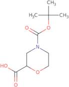 Boc-(R,S)-2-carboxymorpholine