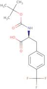 Boc-p-trifluoromethyl-L-phenylalanine