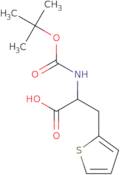 Boc-β-(2-thienyl)-DL-alanine