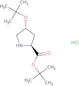 O-tert-Butyl-L-trans-4-hydroxyproline tert-butyl ester hydrochloride