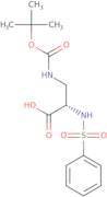 Boc-(S)-3-amino-2-(phenylsulfonylamino)propionic acid