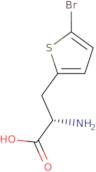 L-2-(5-Bromothienyl)alanine