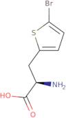 D-2-(5-Bromothienyl)alanine