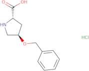 O-Benzyl-L-trans-L-4-hydroxyproline hydrochloride