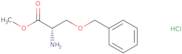 O-Benzyl-L-serine methyl ester hydrochloride