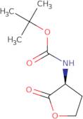 (S)-(-)-α-(Boc-Amino)-γ-butyrolactone