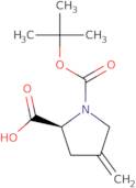 Boc-4-methylene-L-proline