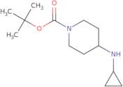 1-Boc-4-cyclopropylaminopiperidine