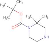 1-Boc-2,2-dimethyl-piperazine