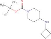 1-Boc-4-cyclobutylaminopiperidine