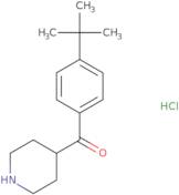(4-Tert-Butyl-Phenyl)-Piperidin-4-Yl-Methanone Hydrochloride