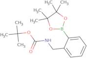 2-Boc-Aminomethyl-phenylboronic acid pinacol ester