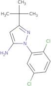 5-tert-Butyl-2-(2,5-dichlorophenyl)-2H-pyrazol-3-ylamine