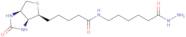(+)-Biotinamidocaproyl hydrazide
