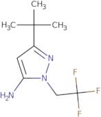 3-Tert-Butyl-1-(2,2,2-Trifluoroethyl)-1H-Pyrazol-5-Amine