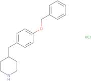 4-(4-(Benzyloxy)Benzyl)Piperidine Hydrochloride