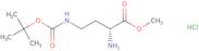 Nγ-Boc-D-2,4-diaminobutyric acid methyl ester hydrochloride