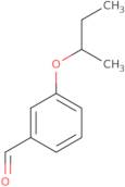 3-sec-Butoxybenzaldehyde