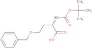 Boc-O-benzyl-L-homoserine