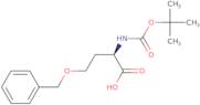 Boc-O-benzyl-D-homoserine