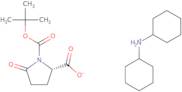 Boc-L-pyroglutamic acid dicyclohexylammonium salt