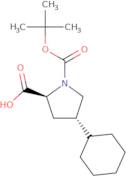 (2S,4S)-Boc-4-cyclohexyl-pyrrolidine-2-carboxylic acid