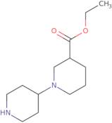 [1,4']Bipiperidinyl-3-Carboxylic Acid Ethyl Ester