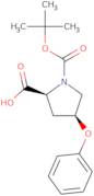 (2S,4S)-Boc-4-phenoxy-pyrrolidine-2-carboxylic acid