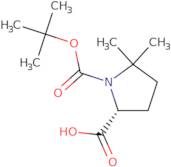 (R)-Boc-5,5-dimethyl-pyrrolidine-2-carboxylic acid