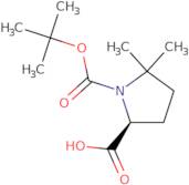 (S)-Boc-5,5-dimethyl-pyrrolidine-2-carboxylic acid