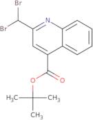 Tert-Butyl 2-(Dibromomethyl)Quinoline-4-Carboxylate