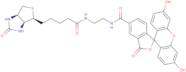 Biotin-4-fluorescein