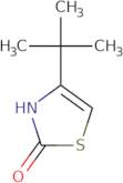 4-(tert-butyl)-1,3-thiazol-2(3h)-one