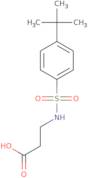 n-{[4-(tert-butyl)phenyl]sulfonyl}-β-alanine