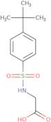 2-({[4-(tert-butyl)phenyl]sulfonyl}amino)acetic acid