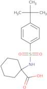 1-({[4-(tert-butyl)phenyl]sulfonyl}amino)cyclohexanecarboxylic acid