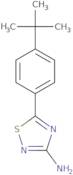 5-[4-(tert-butyl)phenyl]-1,2,4-thiadiazol-3-ylamine