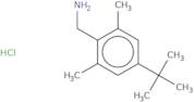 4-tert-Butyl-2,6-dimethylbenzylamine hydrochloride