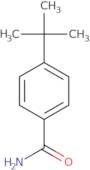 4-tert-Butylbenzamide