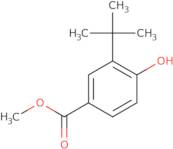 3-tert-Butyl-4-hydroxybenzoic acid methyl ester