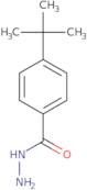 4-tert-Butylbenzoic acid hydrazide