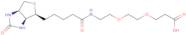 Biotin-PEG2-propionic acid