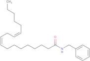 N-Benzyl Linoleamide