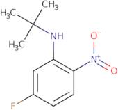N-t-Butyl-5-fluoro-2-nitroaniline