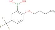 2-Butoxy-5-(trifluoroMethyl)phenylboronic acid
