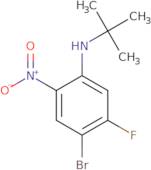 5-BroMo-2-(t-butylaMino)-4-fluoro-1-nitrobenzene
