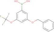 3-(Benzyloxy)-5-(trifluoroMethoxy)phenylboronic acid