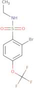 2-Bromo-N-ethyl-4-(trifluoromethoxy)benzenesulfonamide