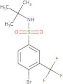 4-Bromo-N-(1,1-dimethylethyl)-3-(trifluoromethyl)benzenesulfonamide