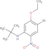 4-Bromo-N-tert-butyl-5-ethoxy-2-nitroaniline